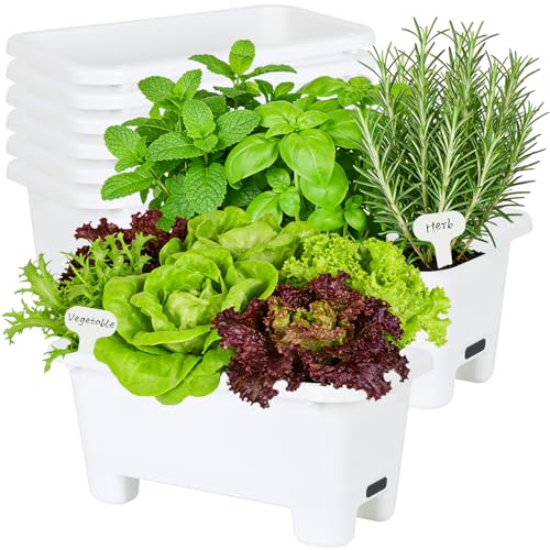 Self Watering Rectangle Planter Boxes 8 (8 Count)