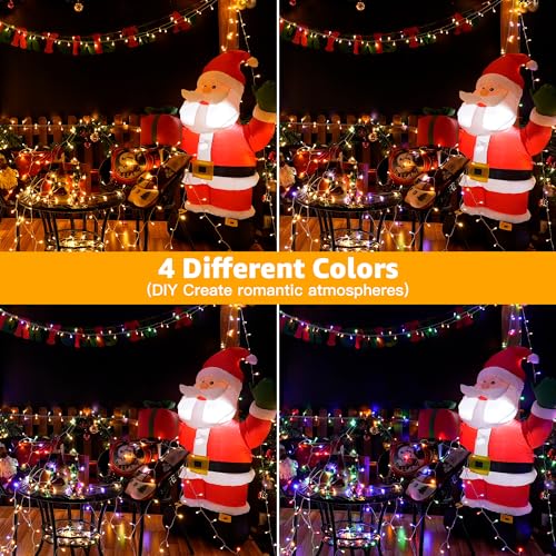 Christmas Lights (66 Foot)