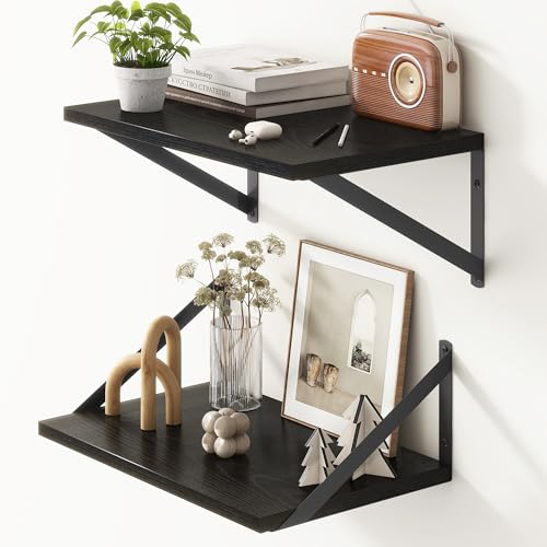 10 Inch Deep Floating Shelves (2 Count)