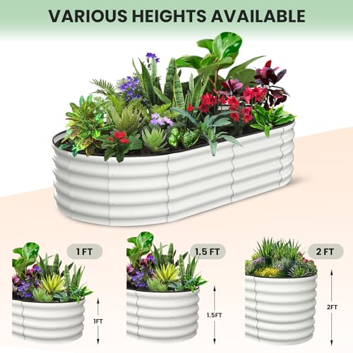 2 Pcs 6x3x1 ft Oval Raised Garden Bed (2 Count)