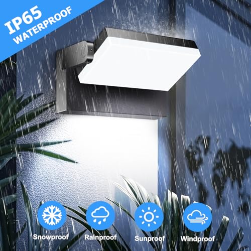 40W LED Outdoor Wall Lights
