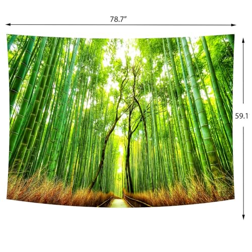 Forest Pathway Tapestry Sunset Tropical Rainforest Nature Tree Tapestry Wall Hanging Sunrise Scenic Natural Green Landscape Headboard for Bedroom Living Room Home Decor
