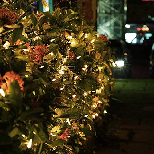 Warm White Christmas Lights Connectable (33 Foot)