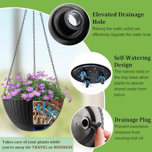 Hanging Planters 8 Inch & 10 Inch (4 Count)