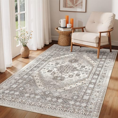 4x6 Area Rug for Entryway (24 Count)