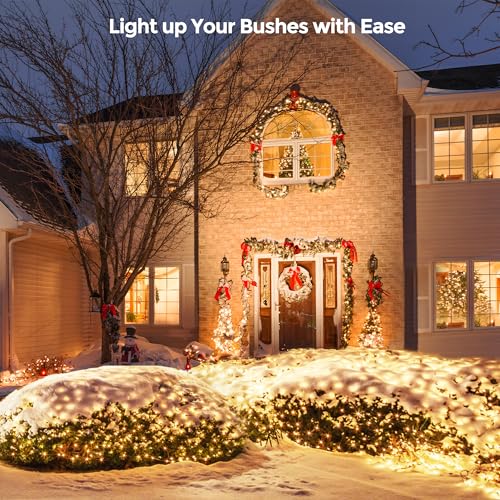 Outdoor Christmas Lights