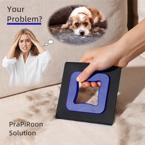 3 in 1 Mini Pet Hair Removal Tool