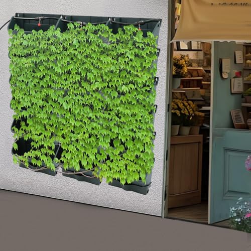 Self Watering Wall