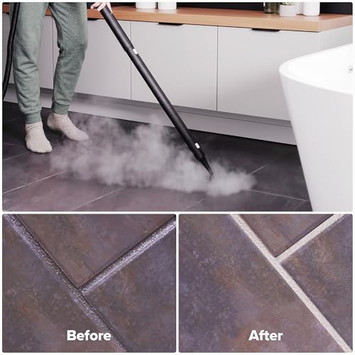 Neat Steam Cleaner for Home
