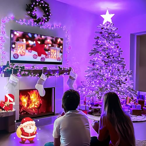Connectable 91.5ft 250 LED Purple Halloween String Lights Indoor (91.5 Foot)