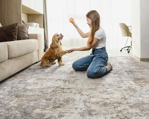 7x10 Area Rug Living Room Rugs Washable Neutral Brown Grey Carpet (70 Sq Ft)