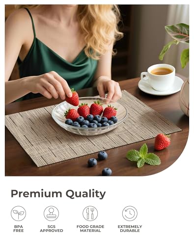 Light Brown Placemats Set of 24 (24 Count)