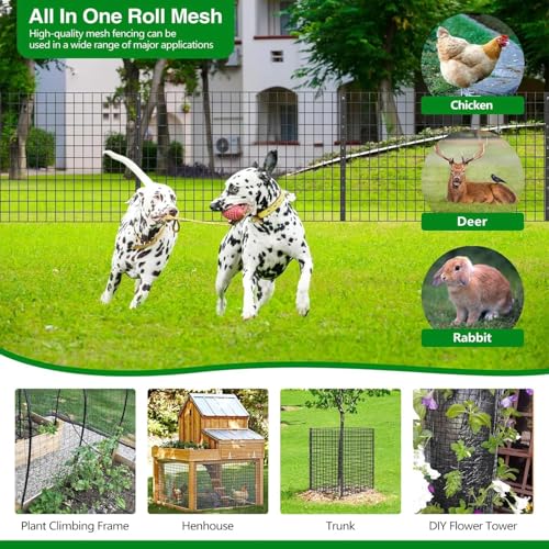 Welded Wire Fence