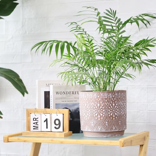 8 Inch + 6 Inch Plant Pot with Drainage Holes and Saucers (2 Count)