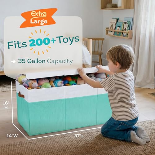 Extra Large Toy Storage Organizer with Lid