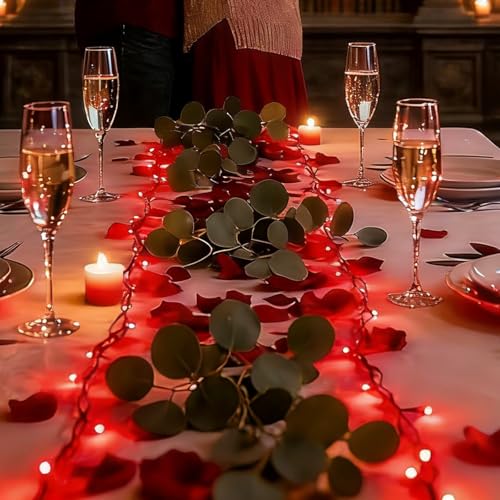 Valentine’s Day Red String Lights Indoor (1200 Count)