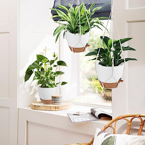 Hanging Planters for Indoor Outdoor Plants