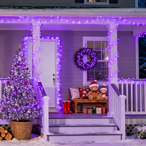 8 Modes 163 FT 500 LED Purple Halloween Lights with Remote (163 Foot)