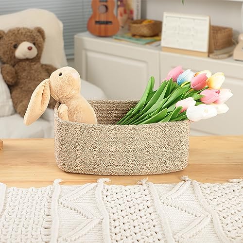 Small Storage Baskets for Organizing (3 Count)