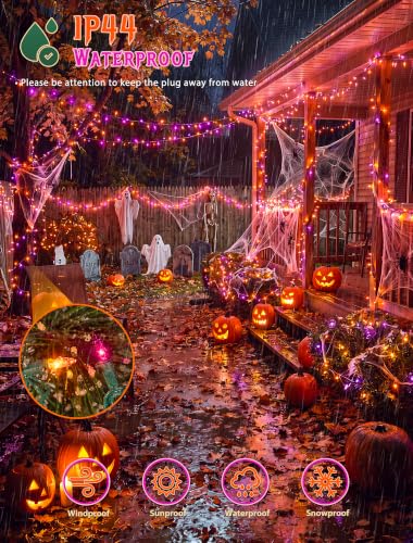 Purple and Orange Halloween Lights (26 Foot)