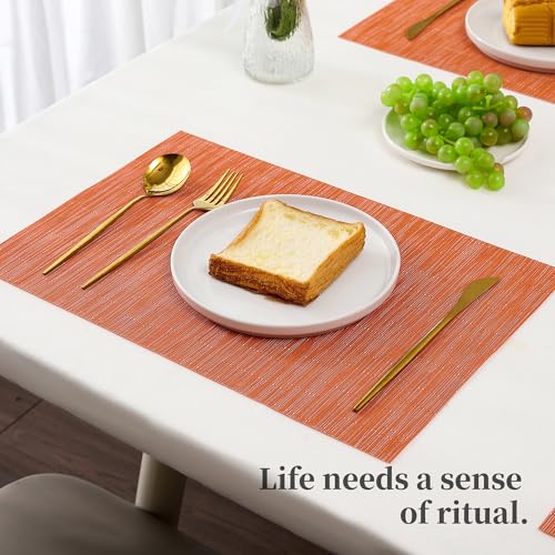 Orange Placemats Set of 8 (8 Count)