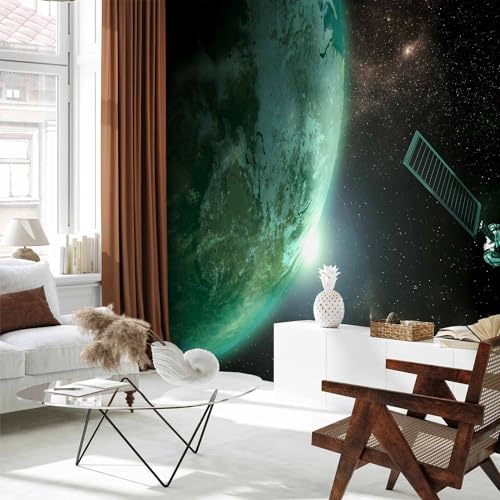 Peel and Stick Wall Mural (8 Count)