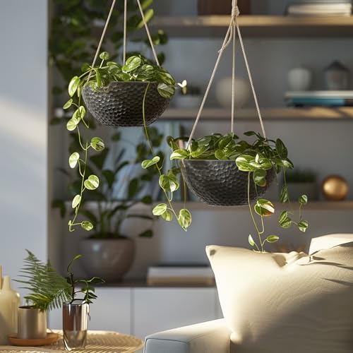 Hanging Planters for Outdoor Plants (2 Count)