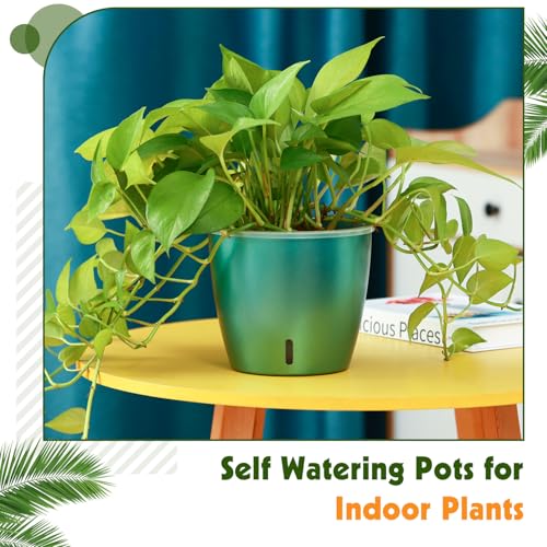 Self Watering Pots for Indoor Plants (12 Count)