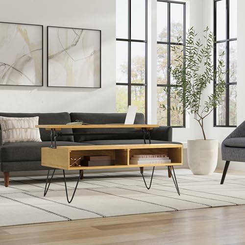 Hunter 48" Wide Rectangle Lift Top Coffee Table in Oak Veneer