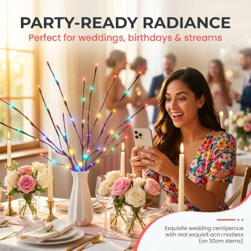 2 Pack Led Branch Light Battery Operated Lighted Branch Vase Filler Willow Tree Artificial Little Twig Power Brown 30 Inch 20 LED for Indoor Romantic (2 Count)