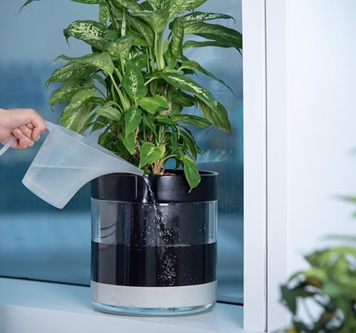 10 Inch Self Watering Terracotta Planter