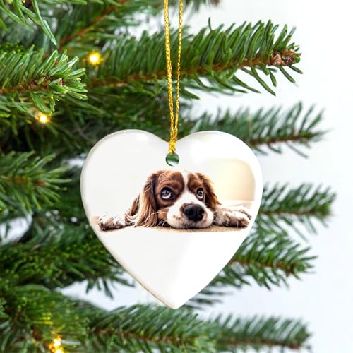 Personalized Ornament