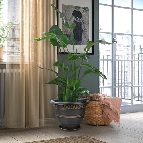 8 Inch Plant Pots (6 Count)