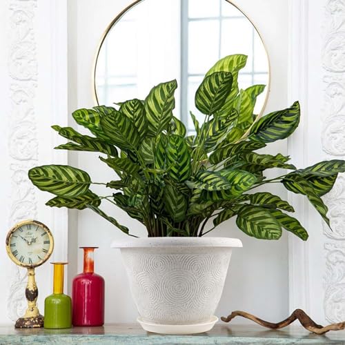 Plastic Flower Pots Planters For Indoor Plants (4 Count)