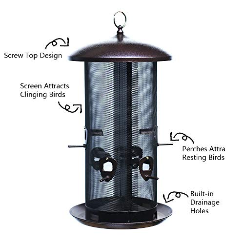Metal Hopper Bird Feeder Two Chambers