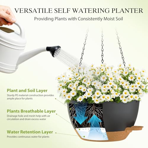 10 Inch Hanging Baskets 2 PC with Chains (2 Count)