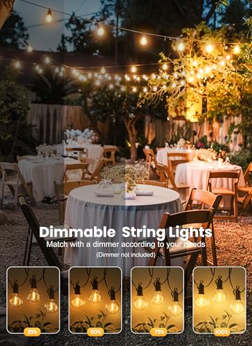 Outdoor String Lights (100 Count)