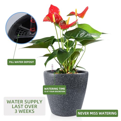13x12 Self Watering Planter with Wheels