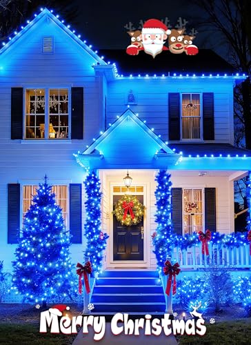 C9 Christmas Lights Outdoor