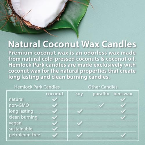Palo Santo Amber & Gold Crackling Wood Wick Candle (7.2 Ounce)