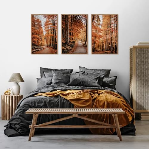 Autumn Forest Framed Canvas Wall Art