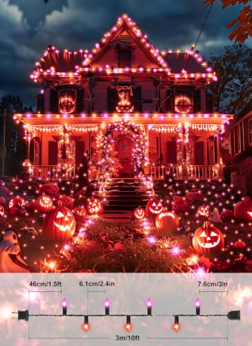 Orange & Purple Halloween Mini Lights