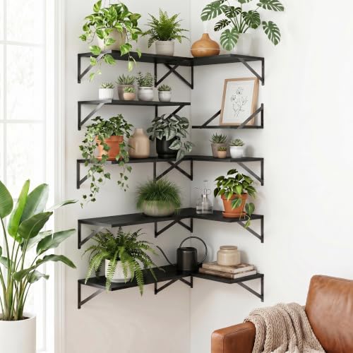 Black Floating Shelves 16 Inch Long