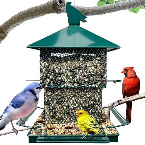 Bird Feeders for Outdoors