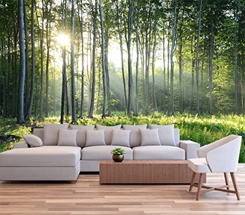 Sunshine Forest Mural Wallpaper Landscape Tree (56.25 Sq Ft)