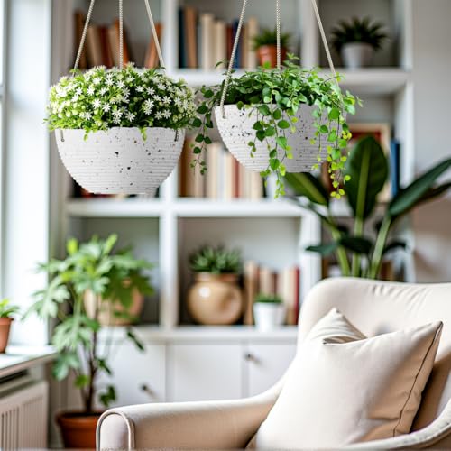 2 Pack Hanging Planter (2 Count)