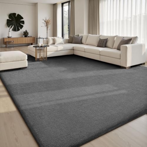 Area Rugs 9x12 for Living Room Bedroom