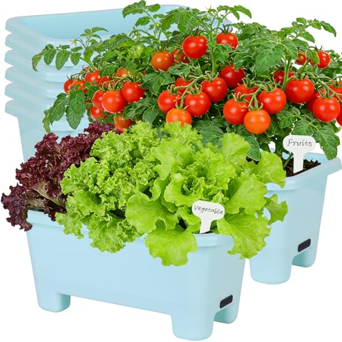 Self Watering Rectangle Planter Boxes 8 (8 Count)