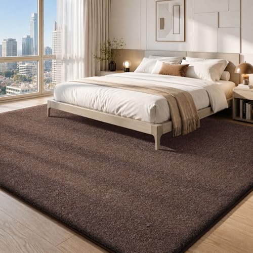 Area Rugs 9x12 for Living Room Bedroom (108 Sq Ft)