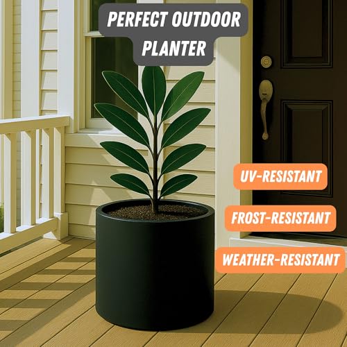 Large Planter for Indoor or Outdoor